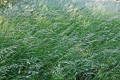 《铁拳8》制作人：PS5 SSD可以提升玩家的游戏体验